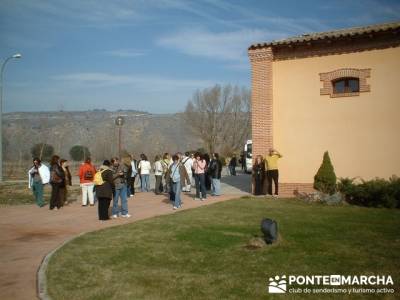 Bodega Vega Real - Turismo en Ribera del Duero